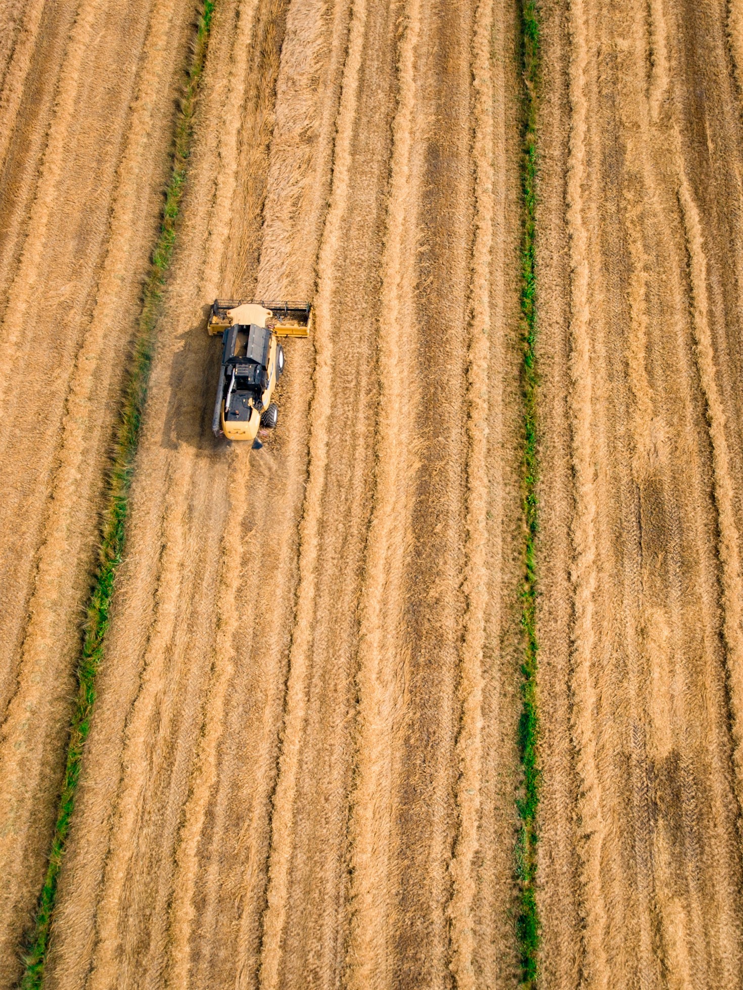 El impacto de políticas incluyentes en el sector agrícola