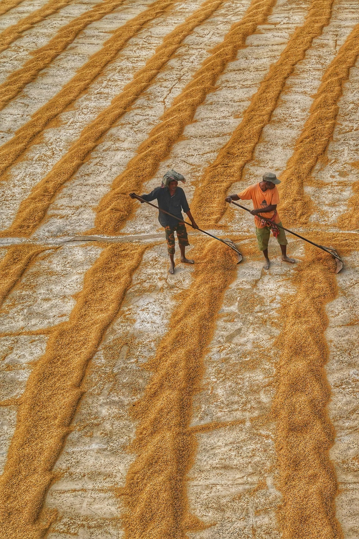 Cómo promover la inclusión en comunidades agrícolas