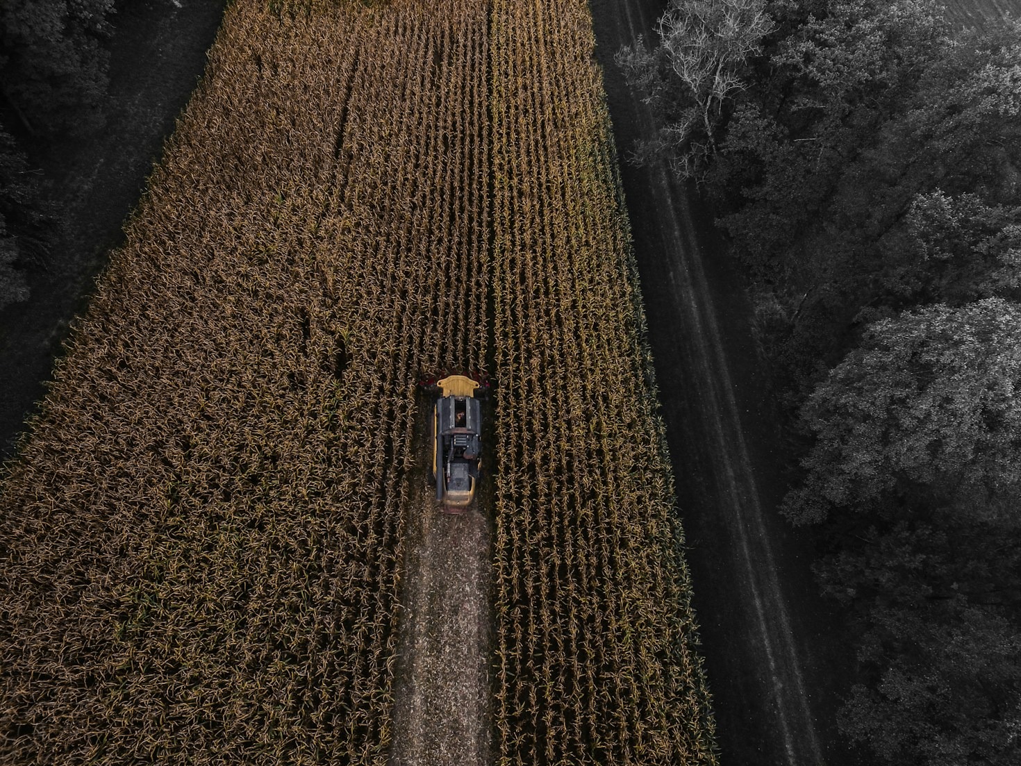 Transformemos juntos el futuro del campo mexicano